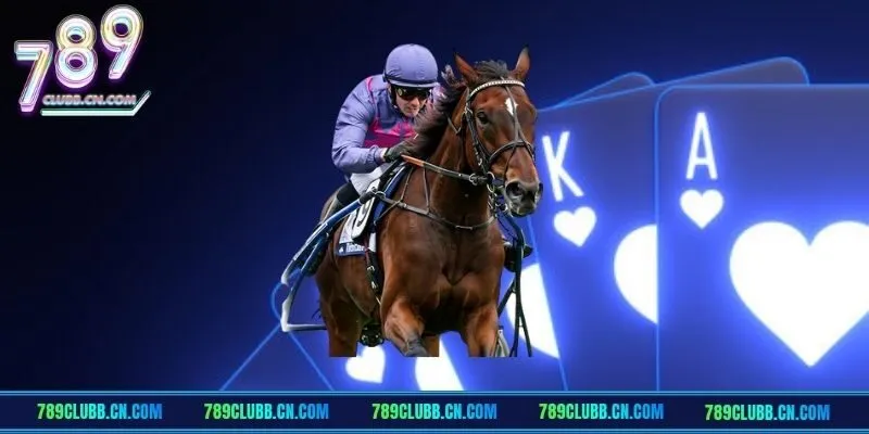 Các loại cửa cược ở Đua ngựa quốc tế 